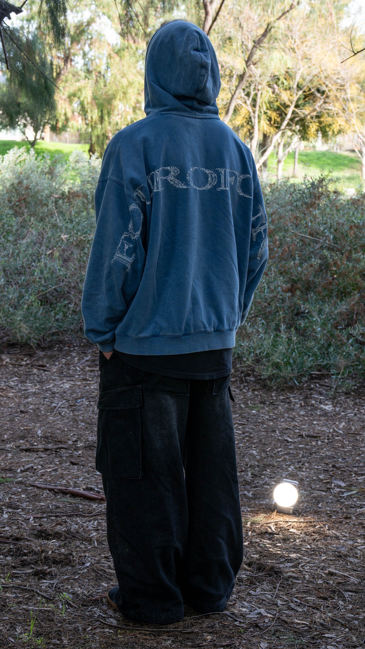 Blue Dragonfly Hoodie