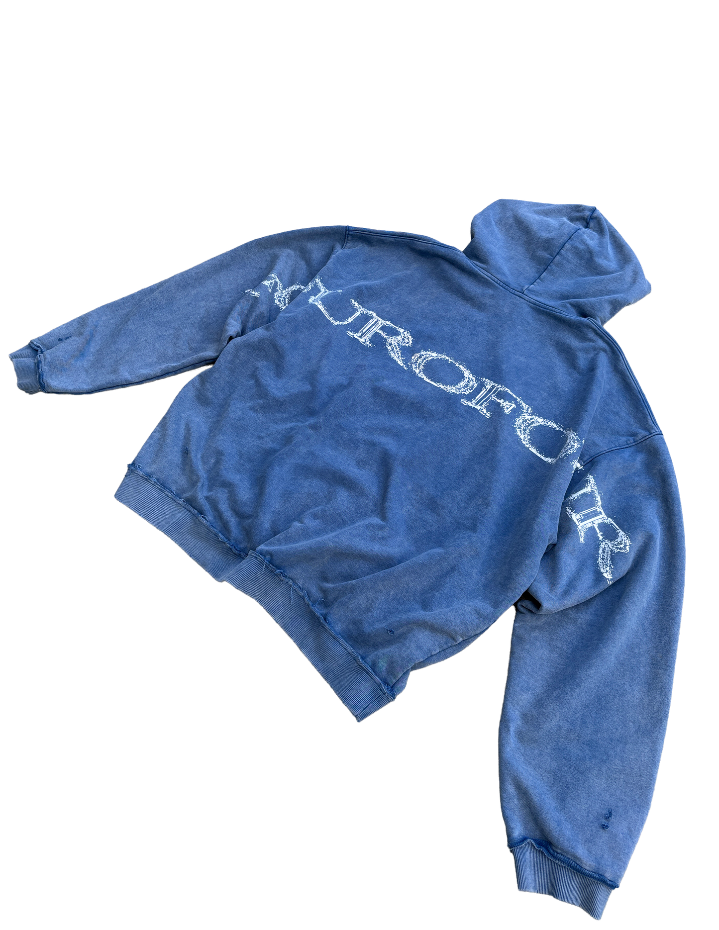 Blue Dragonfly Hoodie